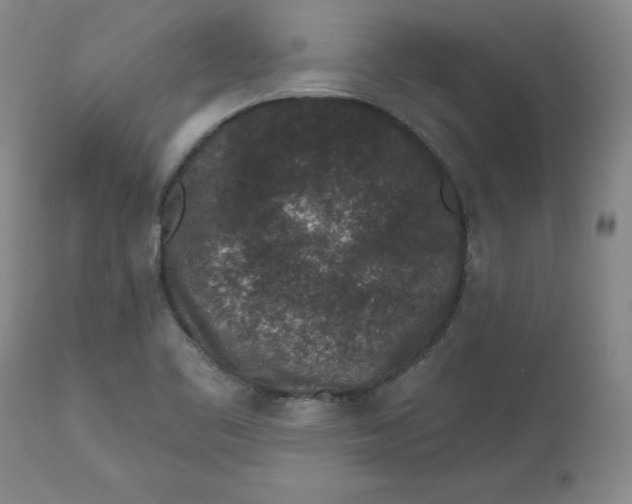 X0000112801461200909111224