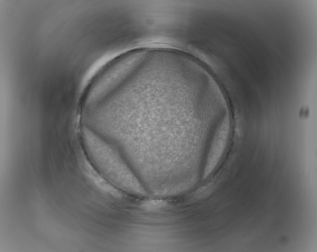 X0000112801462200909111224