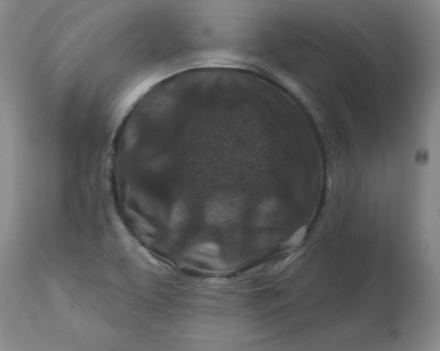 X0000112801463200909111224