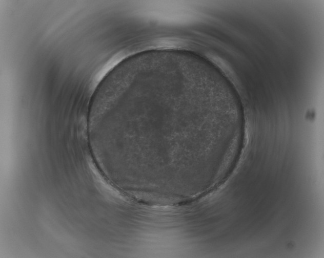 X0000112801465200909111224