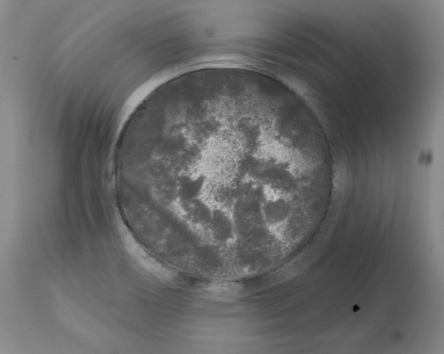 X0000112801466200909111224