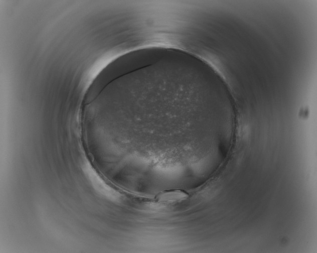 X0000112801468200909111224