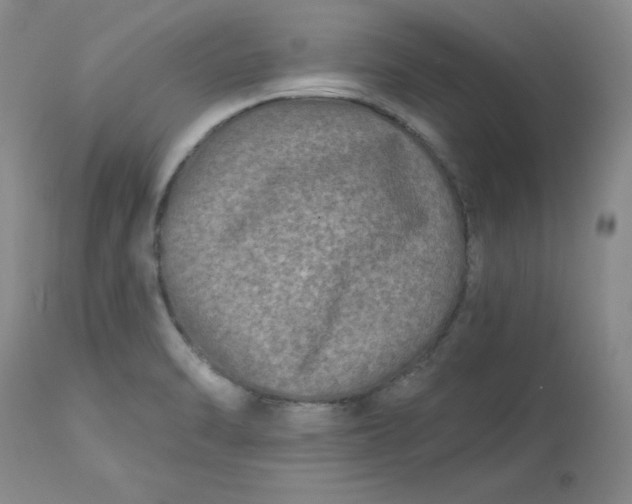 X0000112801470200909111224