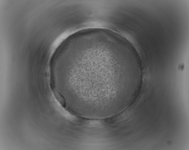 X0000112801472200909111224