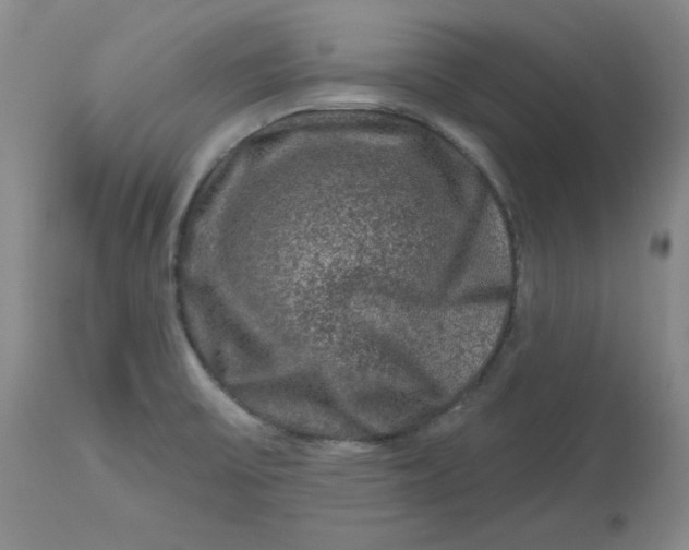 X0000112801475200909111224