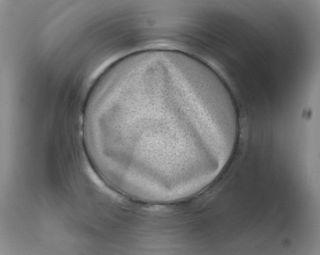 X0000112801476200909111224