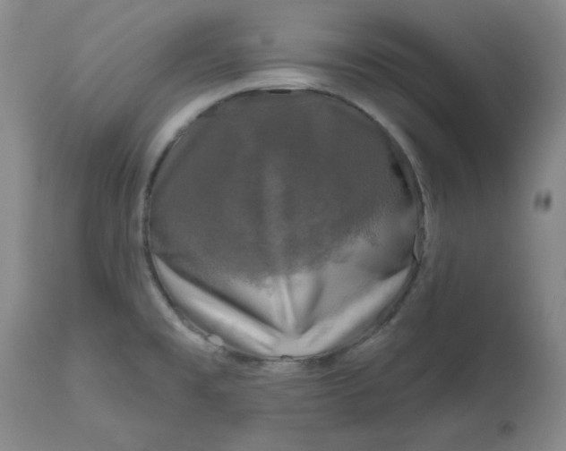 X0000112801477200909111224