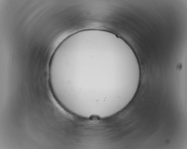 X0000112801479200909111224