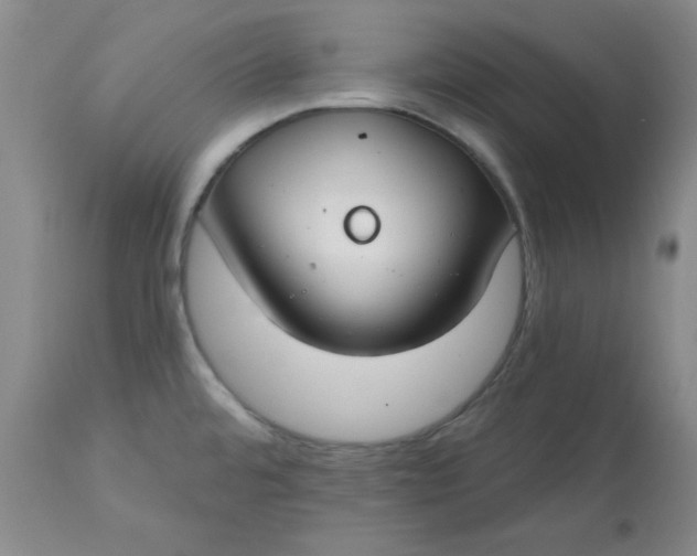 X0000112801480200909111224