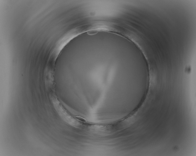 X0000112801481200909111224