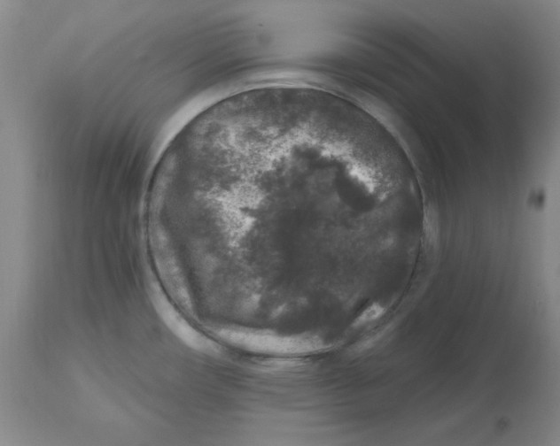 X0000112801482200909111224