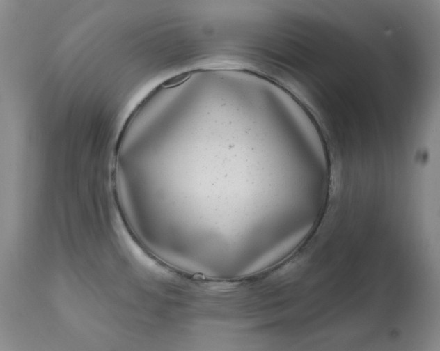 X0000112801484200909111224