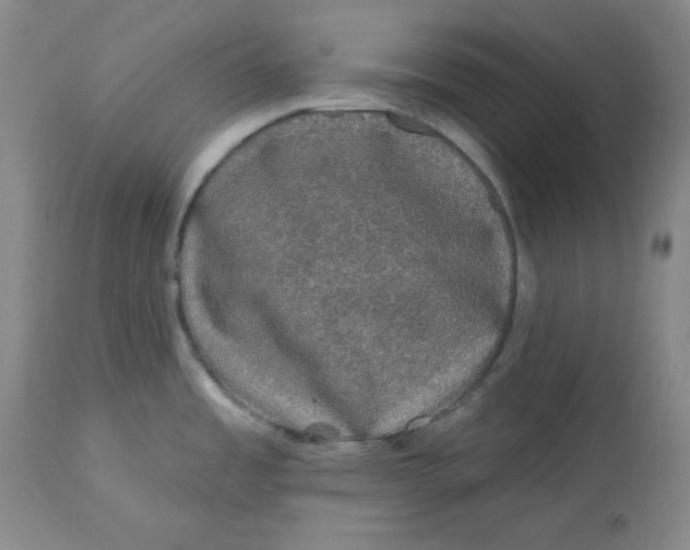 X0000112801485200909111224