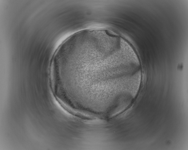 X0000112801487200909111224