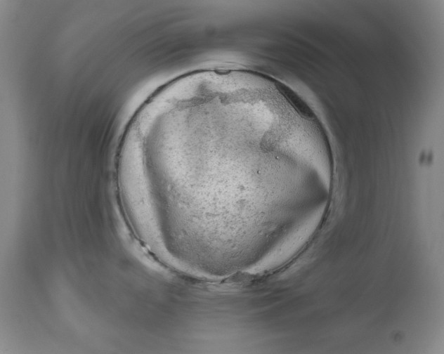 X0000112801488200909111224