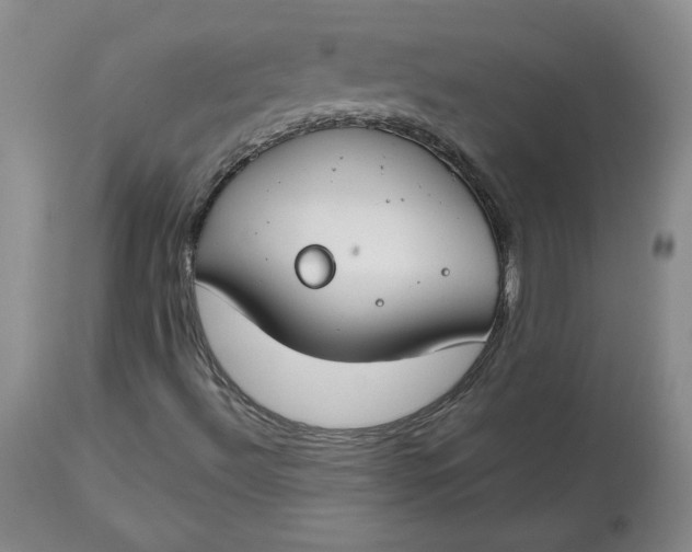 X0000112801492200909111223