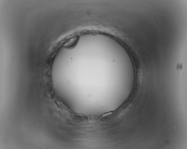 X0000112801494200909111223