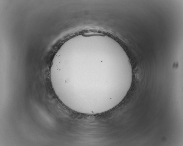 X0000112801495200909111223