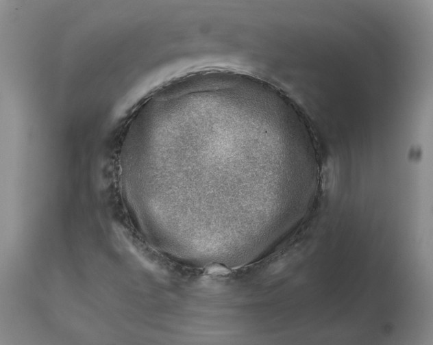 X0000112801496200909111223