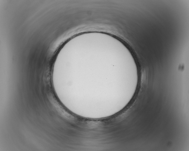 X0000112801498200909111223