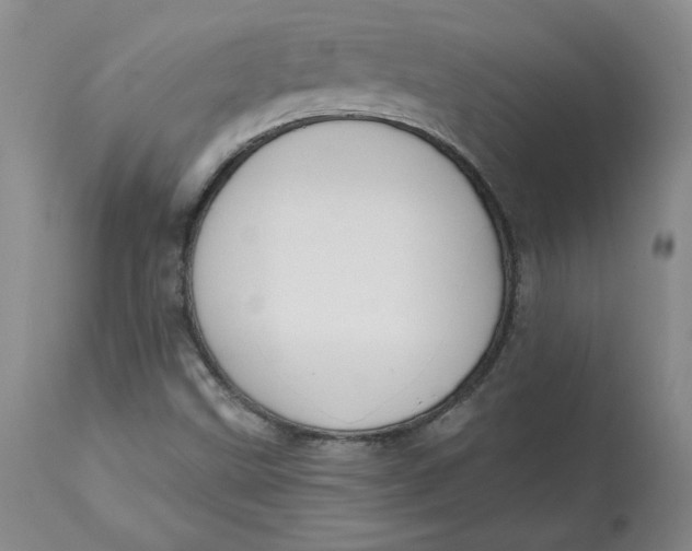 X0000112801499200909111223