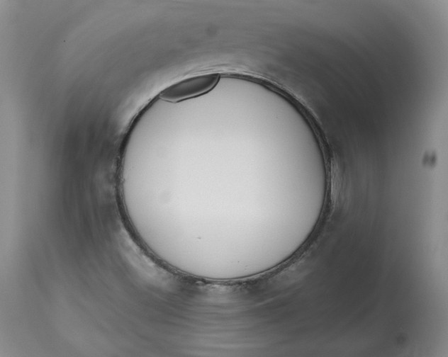 X0000112801500200909111223