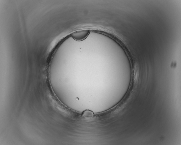 X0000112801501200909111223