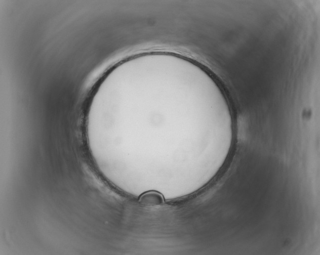 X0000112801502200909111223