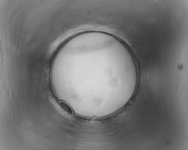 X0000112801503200909111223