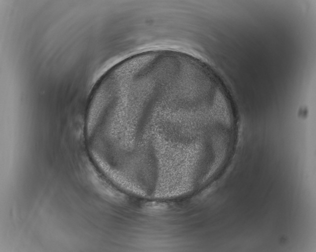 X0000112801505200909111223