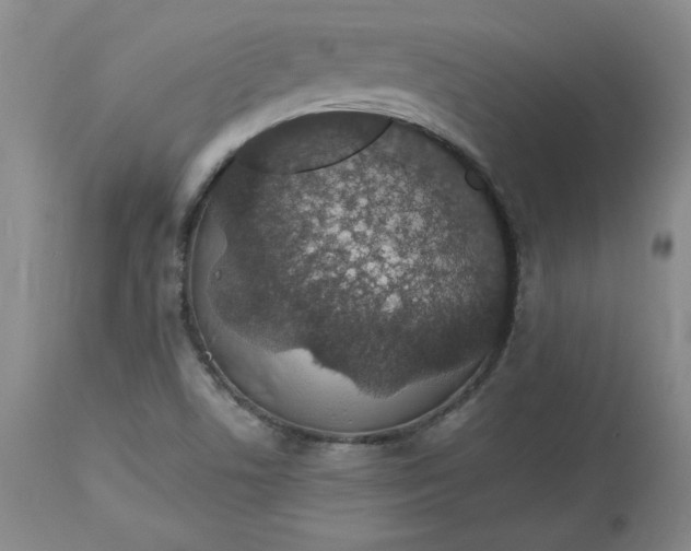 X0000112801506200909111223