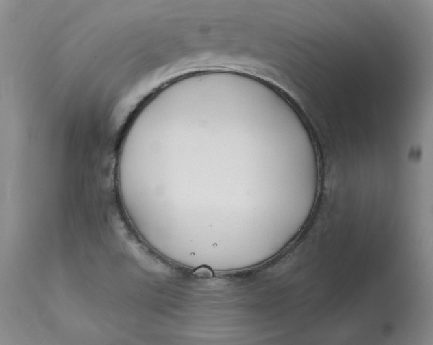 X0000112801507200909111223