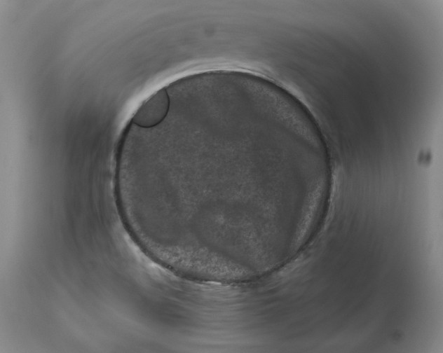 X0000112801508200909111223