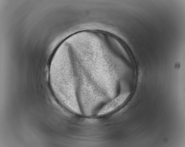 X0000112801509200909111223