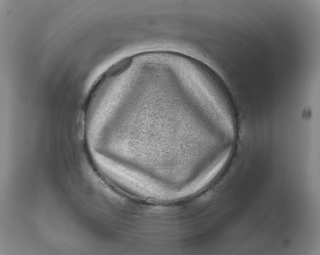 X0000112801510200909111223