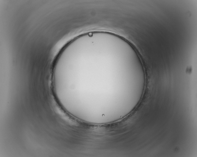 X0000112801511200909111223