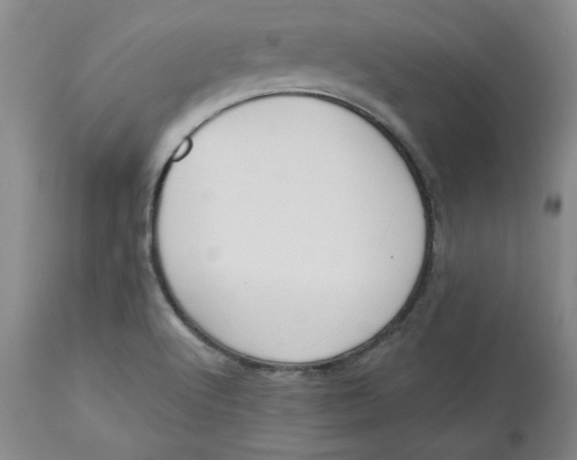 X0000112801512200909111223