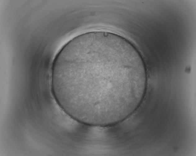 X0000112801514200909111223