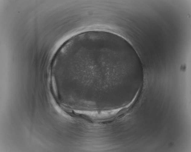 X0000112801515200909111223