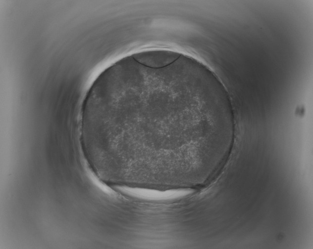 X0000112801519200909111223