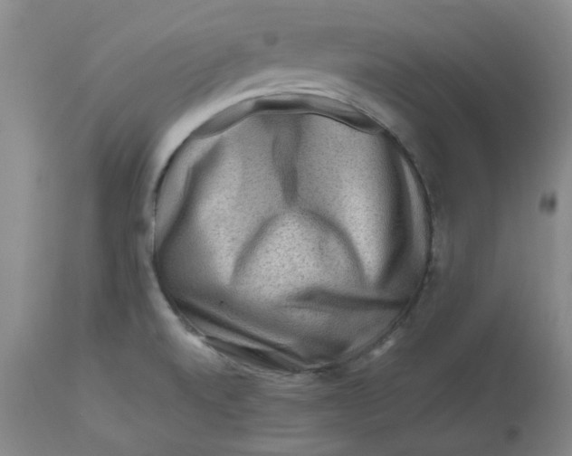 X0000112801520200909111223