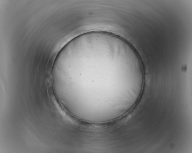 X0000112801521200909111223