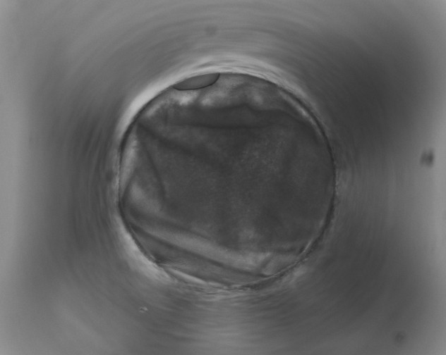 X0000112801522200909111223