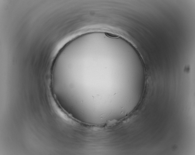 X0000112801523200909111223