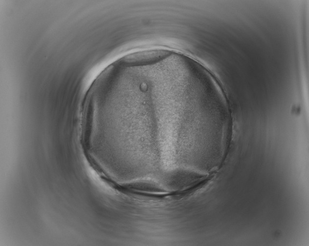 X0000112801524200909111224