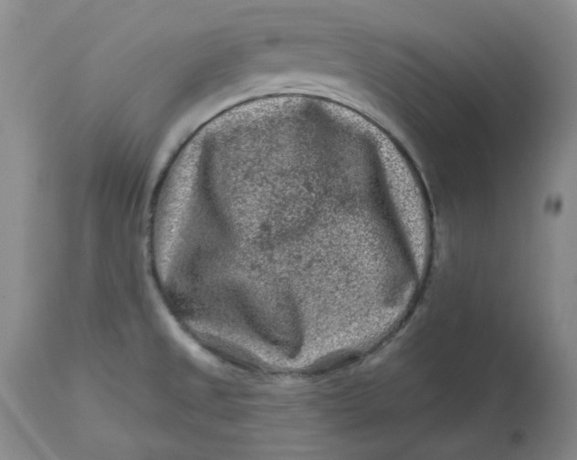 X0000112801525200909111224