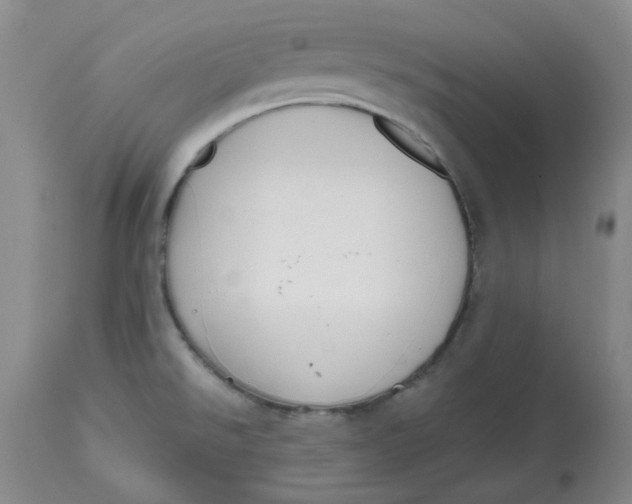 X0000112801526200909111224