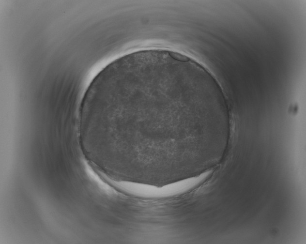 X0000112801527200909111224