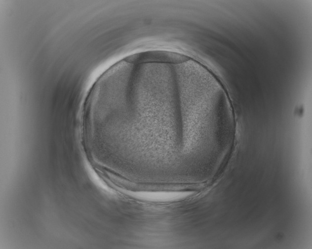 X0000112801528200909111224