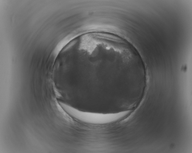 X0000112801529200909111224